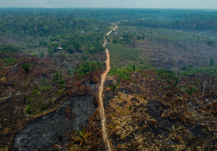 MICHAEL DANTAS / AFP MICHAEL DANTAS / AFP