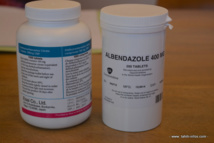 La DEC et l'albendazole sont les médicaments indiqués par l'OMS pour lutter contre la filariose.