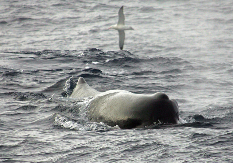 Crédit MARCEL MOCHET / AFP Crédit MARCEL MOCHET / AFP