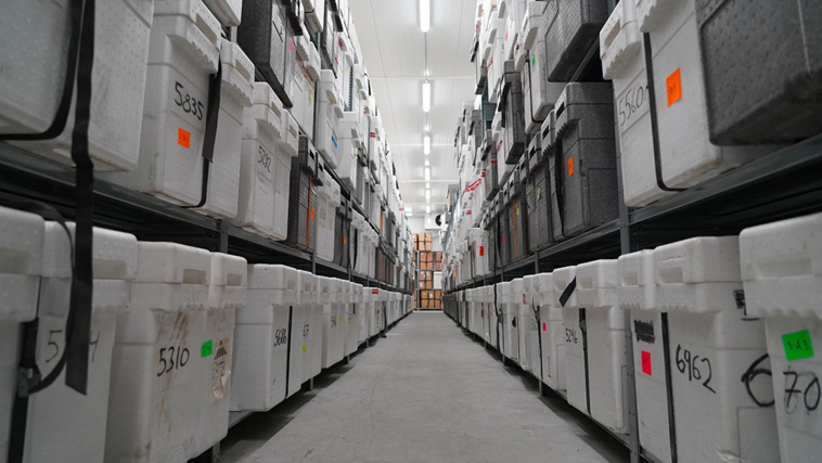 JAMES BROOKS / AFP JAMES BROOKS / AFP