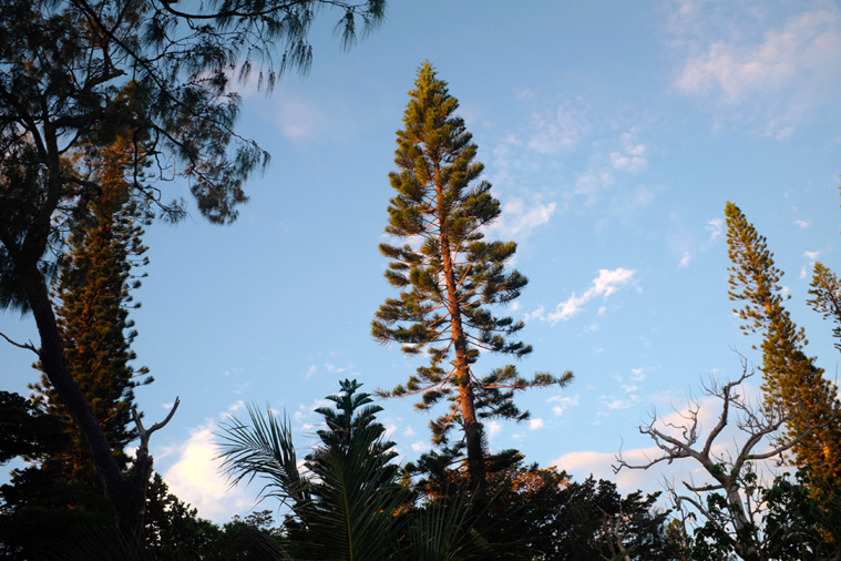 Theo Rouby / AFP Theo Rouby / AFP
