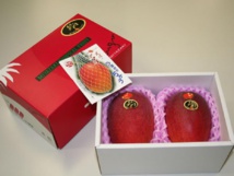 Deux mangues adjugées plus de 2.000 euros au Japon Deux mangues adjugées plus de 2.000 euros au Japon