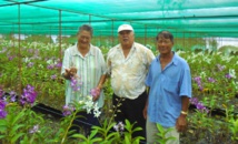 Frédéric Riveta visite plusieurs sites agricoles sur le plateau de Taravao