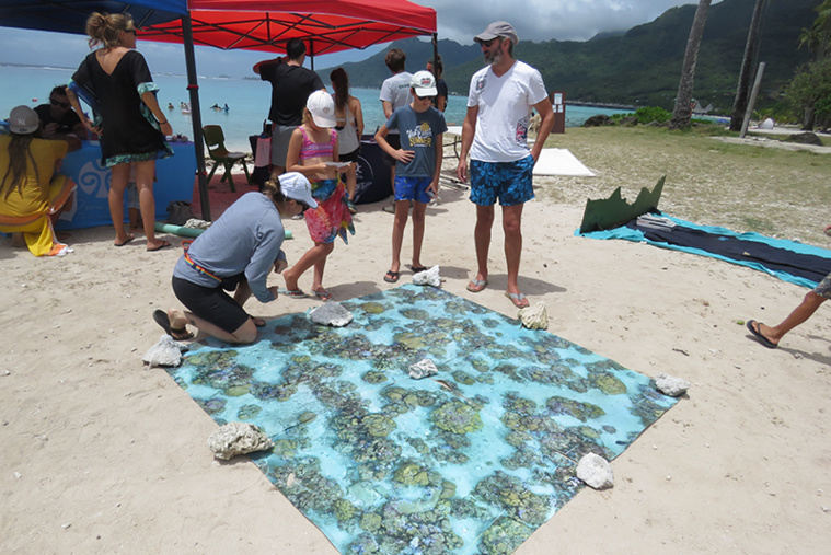 Mieux connaître le milieu aquatique pour mieux le protéger Mieux connaître le milieu aquatique pour mieux le protéger