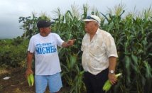 Le samedi 11 avril, le ministre de l'agriculture Frédéric Riveta est allé visiter plusieurs exploitations agricoles du plateau de Taravao.