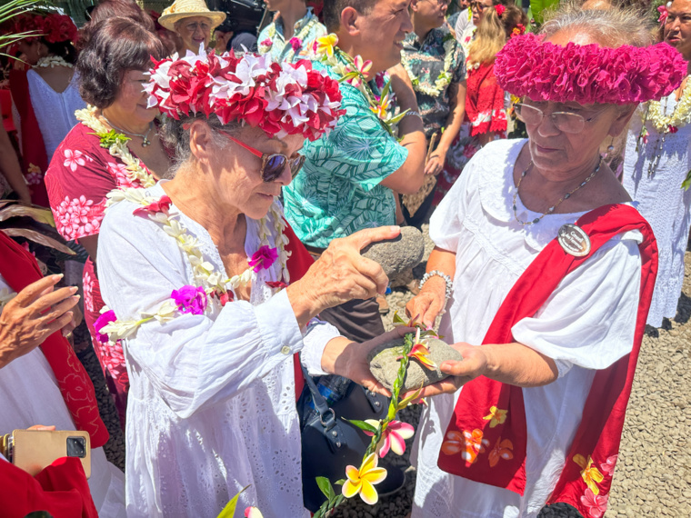 Le Fare Vahine se dévoile Le Fare Vahine se dévoile