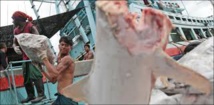 Pêche illicite: la Thaïlande pourrait perdre 1 milliard de dollars en cas de sanctions de l'UE