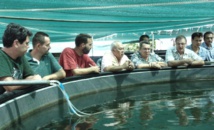 Visite de Frédéric Riveta au centre technique aquacole de Vairao et au centre Ifremer du Pacifique