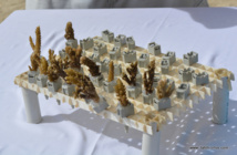 Les boutures de corail sont collés sur de petits supports en plastique (vendus en magasins de bricolage) puis replacés sur les massifs coralliens dans le lagon.