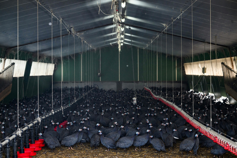 Crédit LOIC VENANCE / AFP