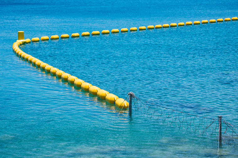 Crédit DELPHINE MAYEUR / AFP Crédit DELPHINE MAYEUR / AFP