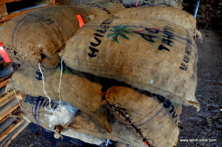 Huilerie de Tahiti : victoire judiciaire de la direction Huilerie de Tahiti : victoire judiciaire de la direction