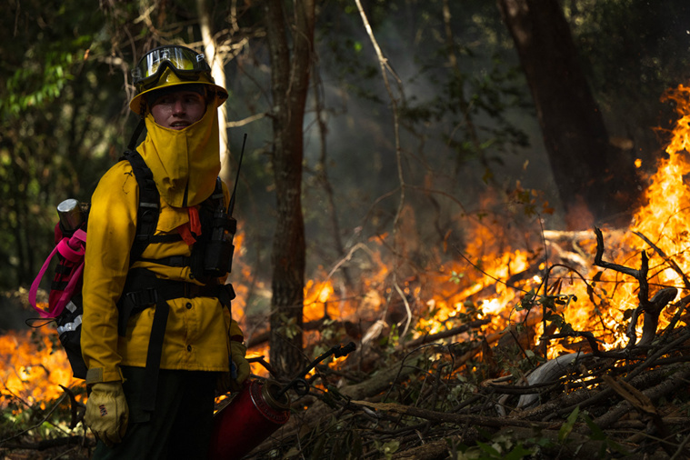 Crédit Nic Coury / AFP Crédit Nic Coury / AFP