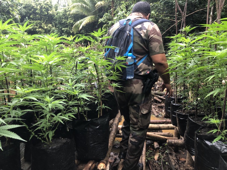 La lutte s'intensifie contre le trafic de stupéfiants La lutte s'intensifie contre le trafic de stupéfiants