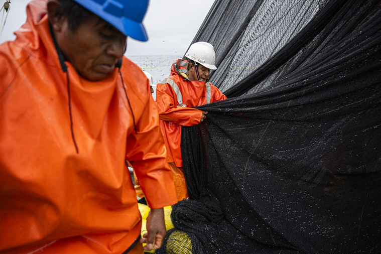 Ernesto BENAVIDES / AFP Ernesto BENAVIDES / AFP