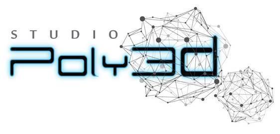 Portraits : Trois jeune gamers tentent le défi de Poly3D