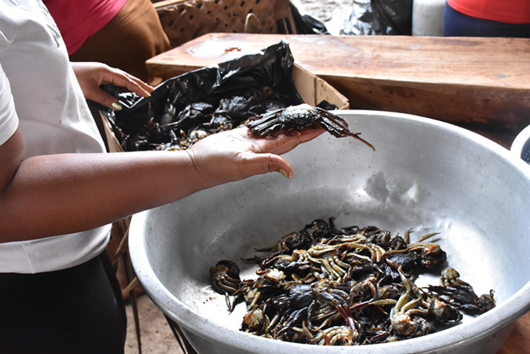 Au cœur des cuisines marquisiennes durant le Matavaa Au cœur des cuisines marquisiennes durant le Matavaa