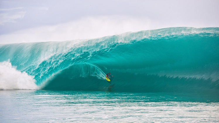 Le cliché de Tim Mc Kenna qui a été choisi par le jury. Le cliché de Tim Mc Kenna qui a été choisi par le jury.