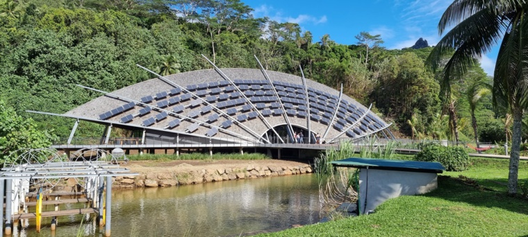 Crédit photo : FB Te Fare Natura. Crédit photo : FB Te Fare Natura.