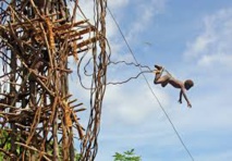 Saut du Gol à Vanuatu : la tension monte entre tribus rivales Saut du Gol à Vanuatu : la tension monte entre tribus rivales