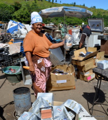 Mamie nous présente un carton d'ours en peluche neufs qui allaient être jettés