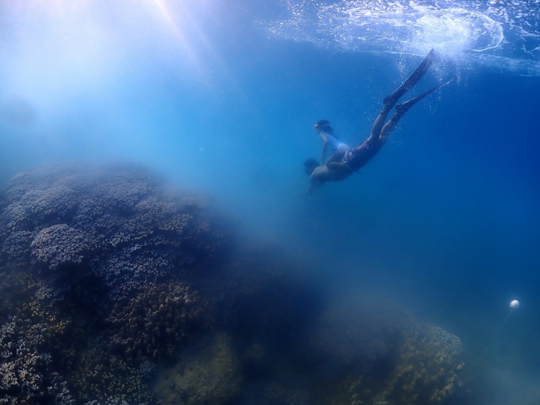 Rétrospective environnement de l'année 2023 Rétrospective environnement de l'année 2023