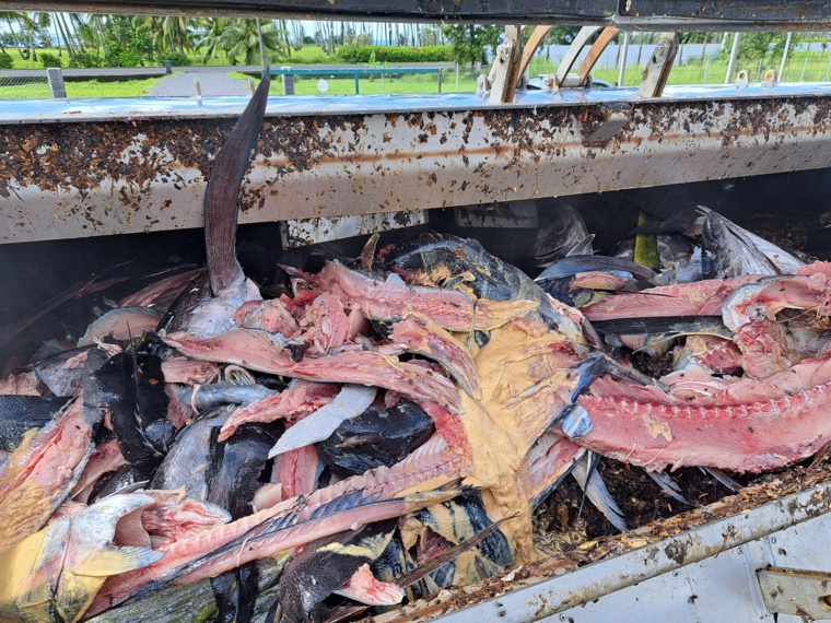 Rétrospective environnement de l'année 2023 Rétrospective environnement de l'année 2023