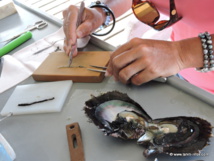 La perle de Tahiti bientôt confrontée à la concurrence chinoise La perle de Tahiti bientôt confrontée à la concurrence chinoise