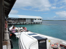 La perle de Tahiti bientôt confrontée à la concurrence chinoise