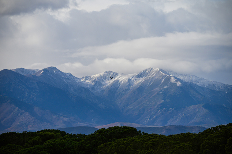 Crédit Ed JONES / AFP Crédit Ed JONES / AFP