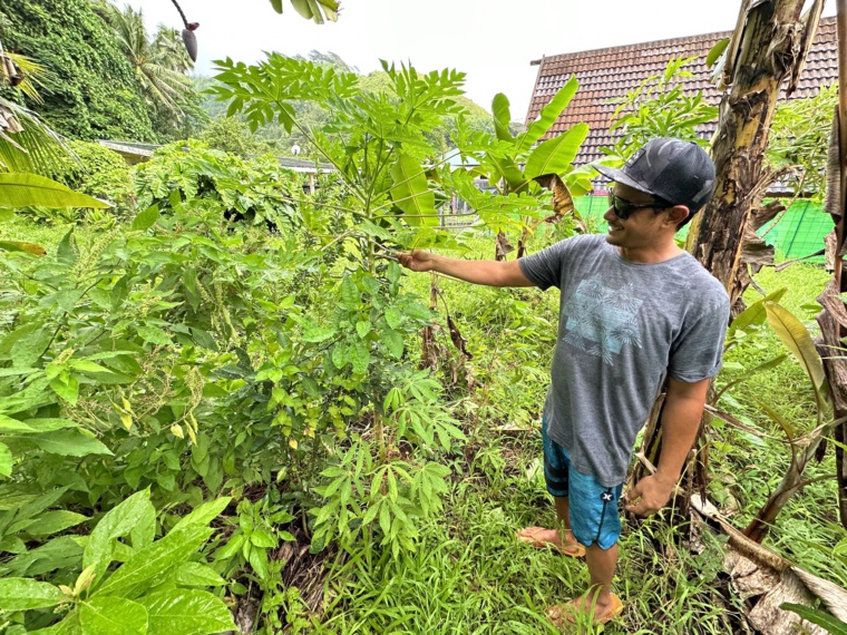 En seulement deux ans, le jeune homme a su varier et intensifier sa production. En seulement deux ans, le jeune homme a su varier et intensifier sa production.