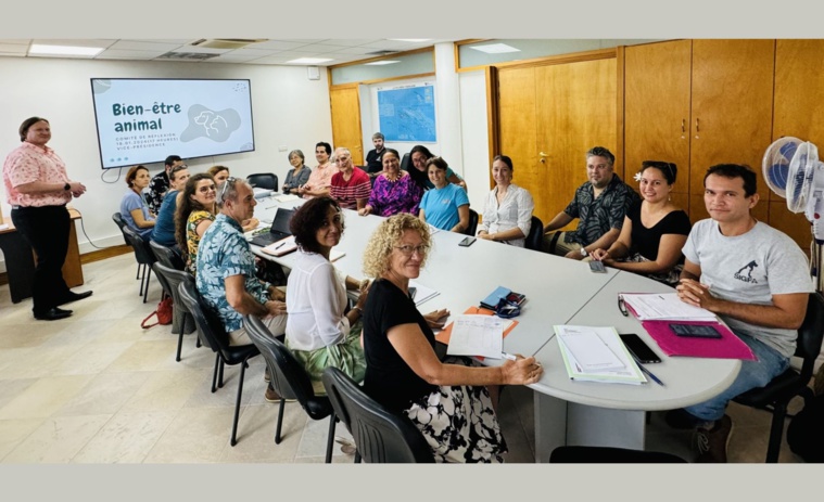 Création d’un comité de réflexion dédié au bien-être animal Création d’un comité de réflexion dédié au bien-être animal