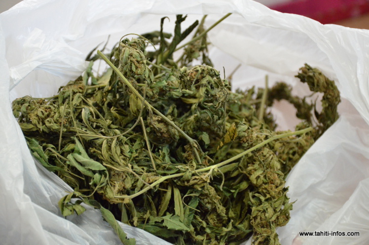 Du cannabis, des pipettes et 800 000 francs en espèces saisis lors d'un contrôle routier Du cannabis, des pipettes et 800 000 francs en espèces saisis lors d'un contrôle routier