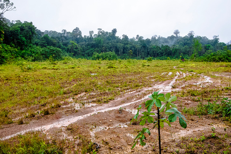 Crédit jody amiet / AFP Crédit jody amiet / AFP
