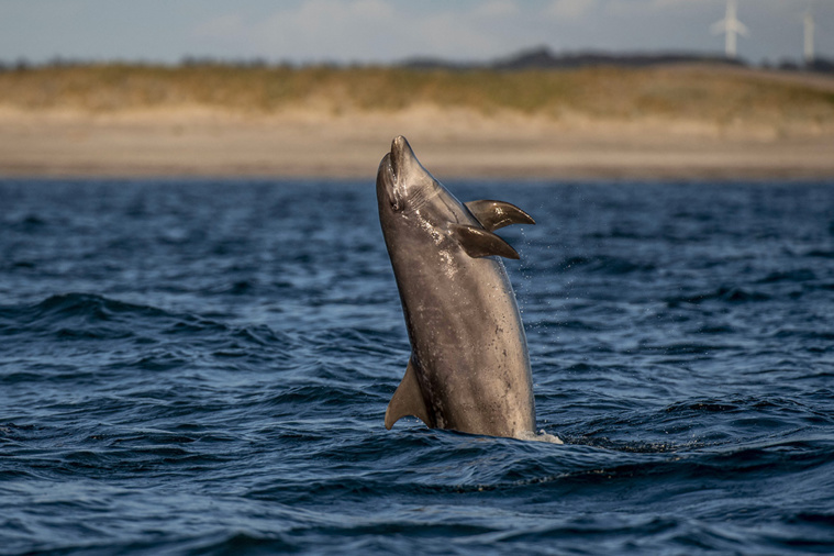 Morten Stricker / Ritzau Scanpix / AFP