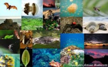 Les ONG appellent les citoyens européens à se mobiliser pour la biodiversité