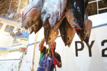​L’urgence d’un cadre clair pour les marins pêcheurs