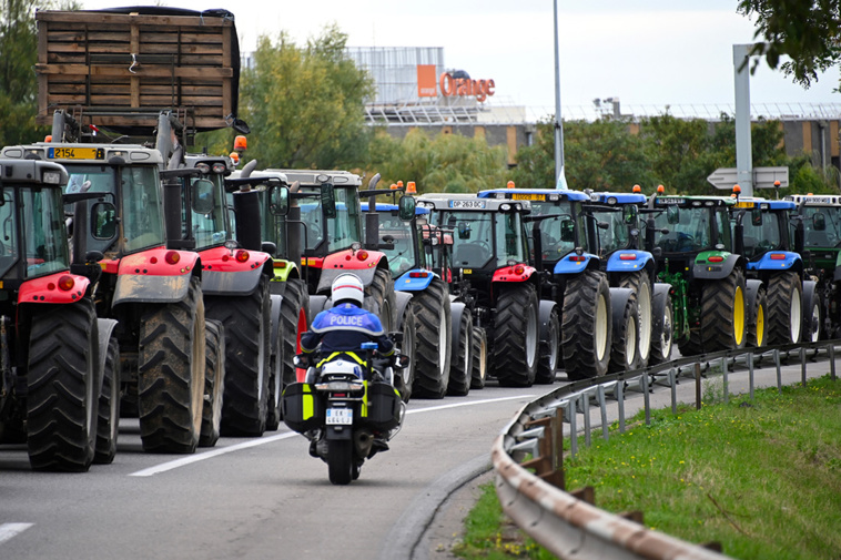 Crédit FREDERICK FLORIN / AFP Crédit FREDERICK FLORIN / AFP