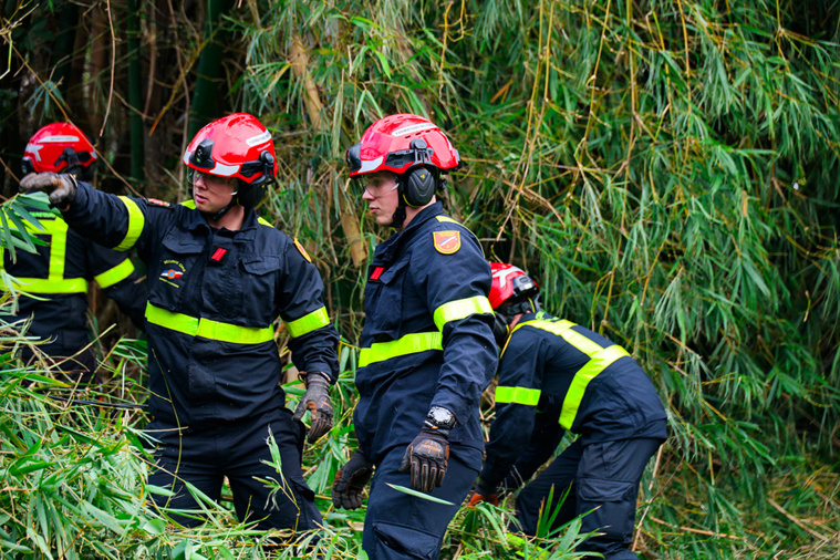 Photo d'illustration. Crédit SLY / Imaz Press / AFP Photo d'illustration. Crédit SLY / Imaz Press / AFP