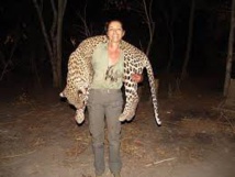 La Zambie réautorise la chasse aux lions et aux léopards La Zambie réautorise la chasse aux lions et aux léopards