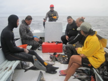 Mireille Chinain, une vie récompensée Mireille Chinain, une vie récompensée