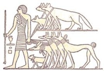 La domestication du chien remonterait à plus de 27.000 ans La domestication du chien remonterait à plus de 27.000 ans