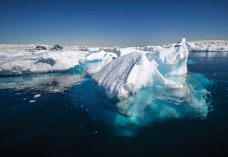 Crédit Juan BARRETO / AFP Crédit Juan BARRETO / AFP