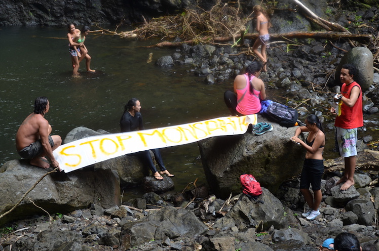 Une marche citoyenne contre Monsanto, le Roundup et les OGM Une marche citoyenne contre Monsanto, le Roundup et les OGM
