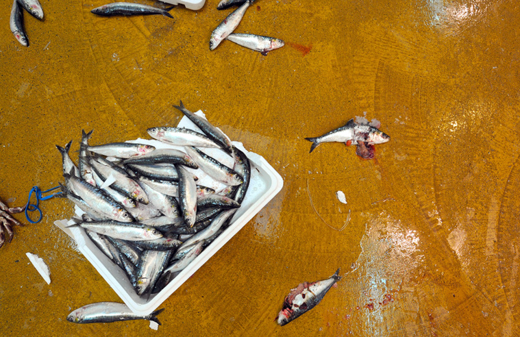 MYCHELE DANIAU / AFP MYCHELE DANIAU / AFP