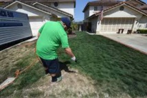 Peindre l'herbe, la nouvelle mode californienne pour garder des pelouses vertes