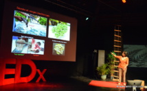 Mireille Chinain Mireille Chinain