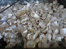 Canibal, la machine intelligente qui donne une deuxième vie au gobelet en plastique