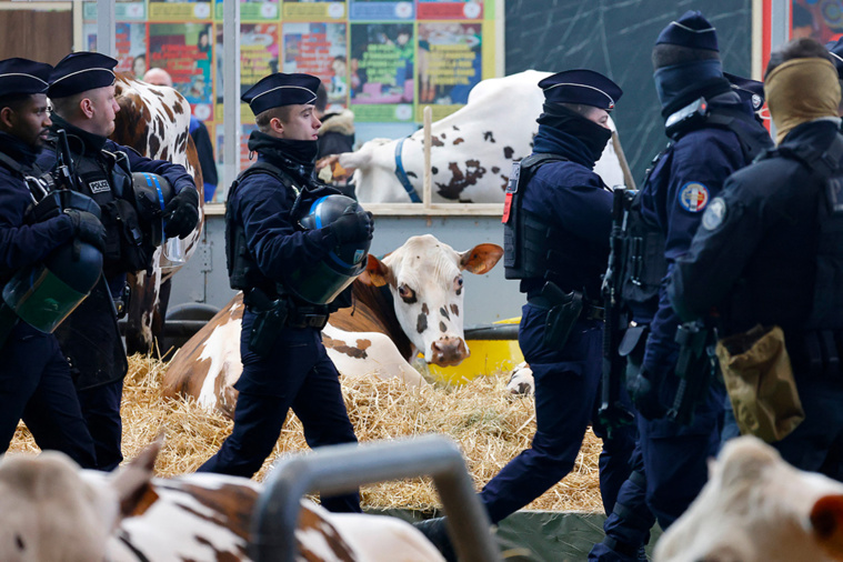 Crédit Ludovic MARIN / AFP Crédit Ludovic MARIN / AFP