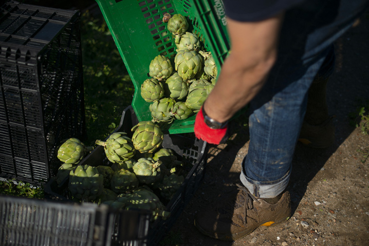 JOSEP LAGO / AFP JOSEP LAGO / AFP